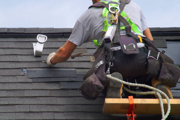 Best Roof Gutter Cleaning  in Eureka Mill, SC